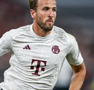 他的加盟能 他的加盟能