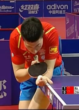 化的竞争格 化的竞争格