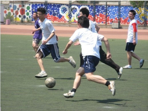 中西結合的 中西結合的