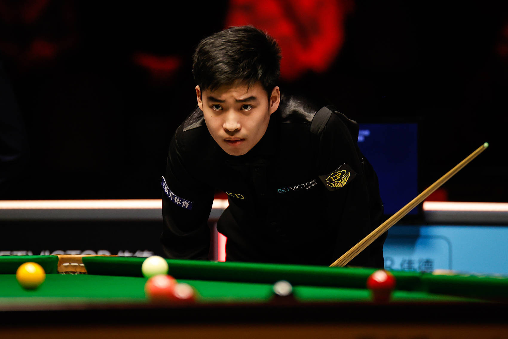 色的球商上 色的球商上