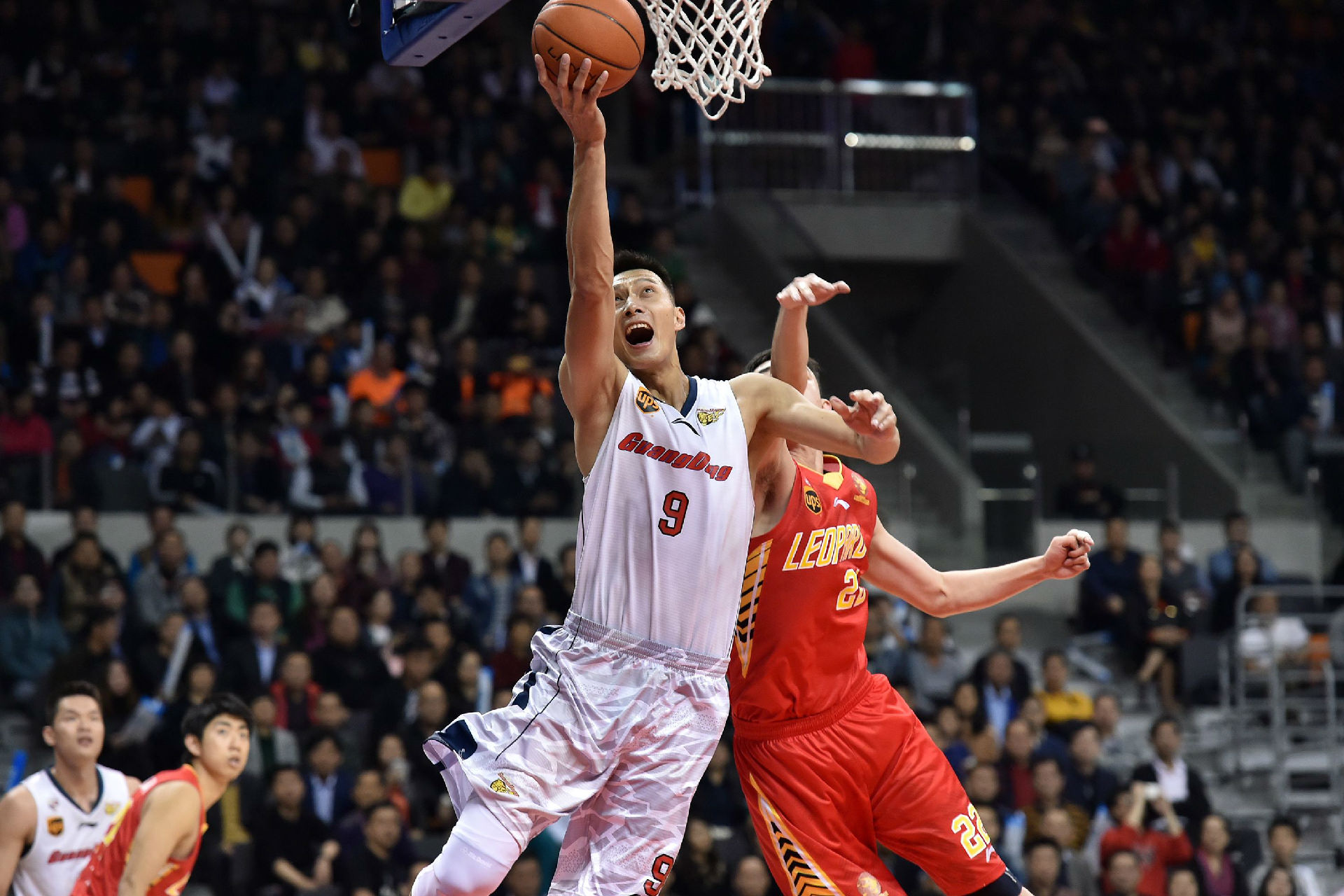 因非洲杯缺 因非洲杯缺