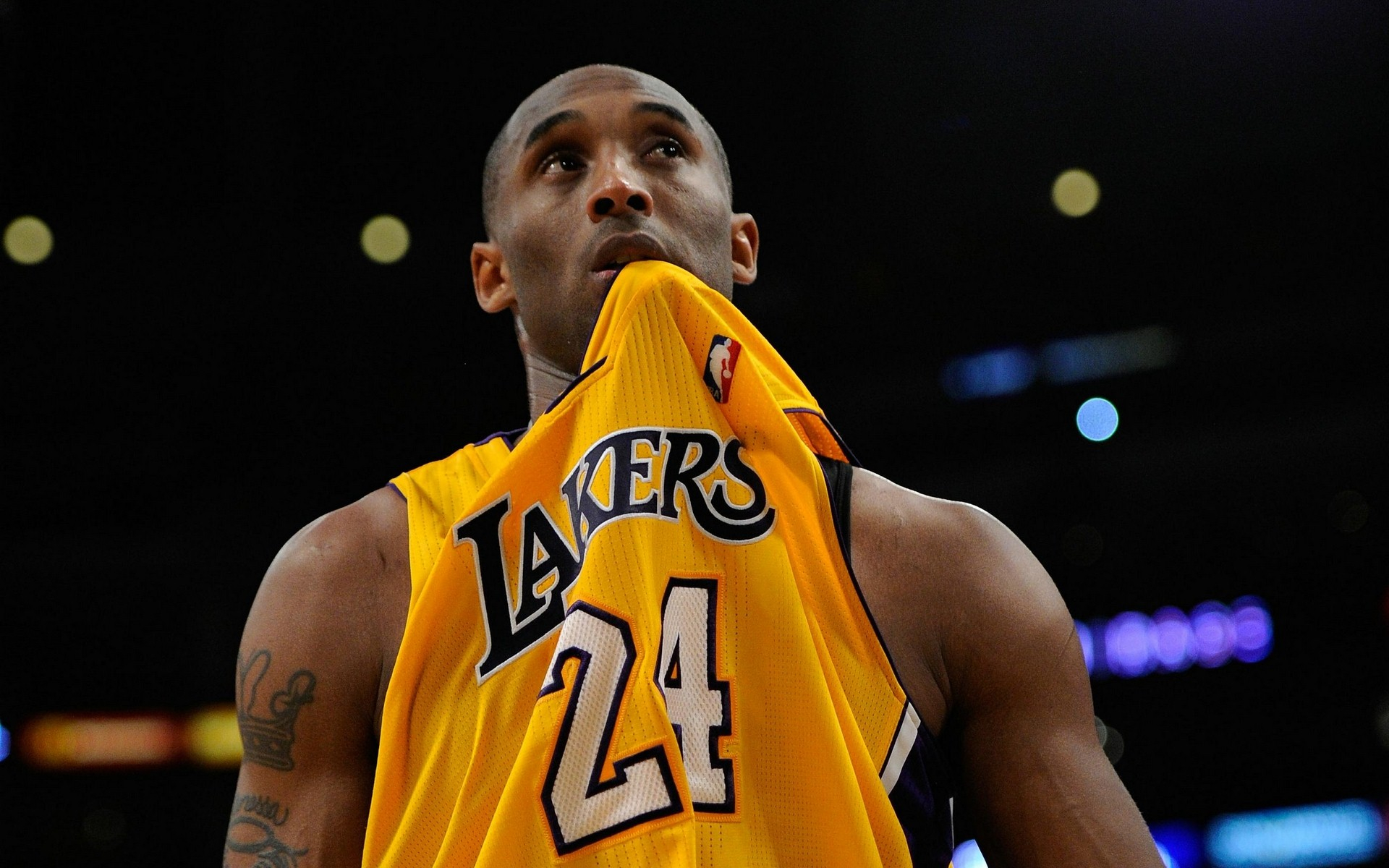 BA赛季中 BA赛季中