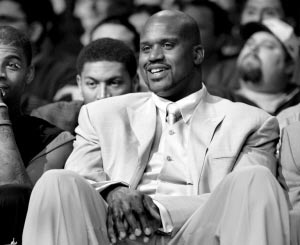 许多维京人 许多维京人